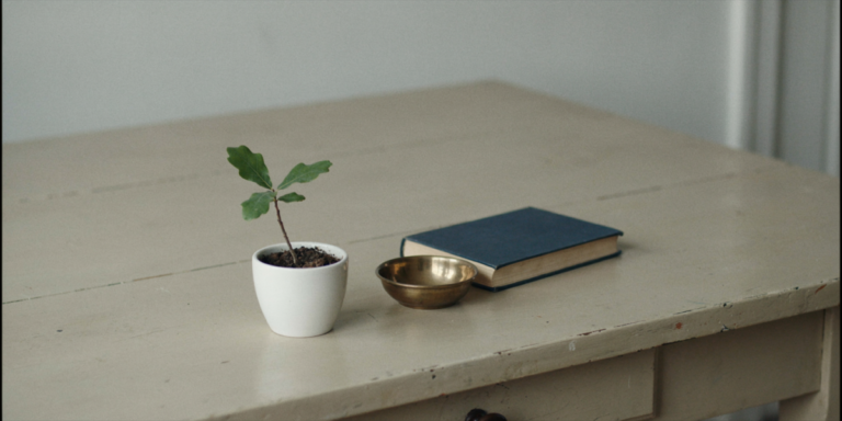 A young oak seedling in a white pot beside a closed navy hardback book and a small brass bowl